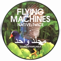 Flying Machines - Native Twice : 12inch