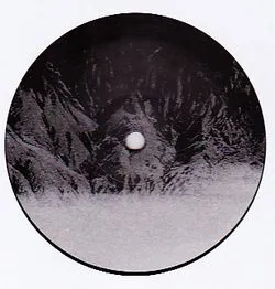 Joy Orbison & Boddika - More Maim / In Here : 12inch