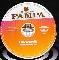 Ricosh&#203;i / Dave Dk - Perfect Like You / Woolloomooloo : 12inch