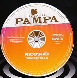 RicoshËi / Dave Dk - Perfect Like You / Woolloomooloo : 12inch