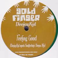 Deejaykul - Feeling Good : 12inch