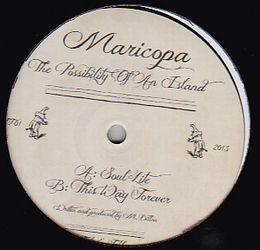 Maricopa - THE POSSIBILITY OF AN ISLAND : 10inch