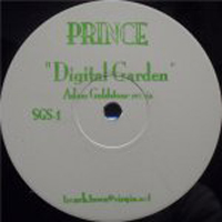 Prince - Digital Garden（Adam Goldstone remix） : 12inch