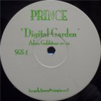 Prince - Digital Garden（Adam Goldstone remix）