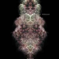 Eduardo De La Calle - The Motorglider EP