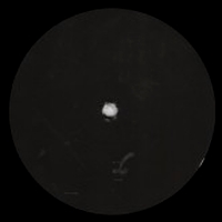 Dani Casarano - Jam : 12inch