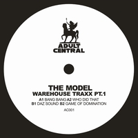 The Model - Warehouse Traxx pt1 : 12inch