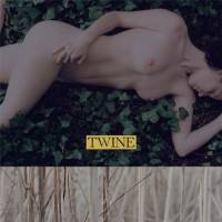 Twine - Twine : 2LP