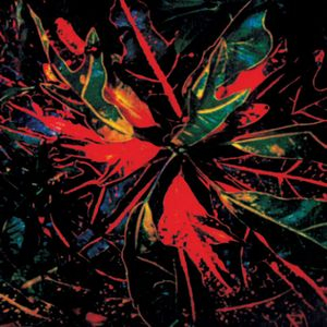Jay Daniel - Karmatic Equations