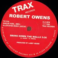 Robert Owens - Bring Down The Walls : 12inch