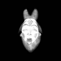 Rainforest Spiritual Enslavement - Folklore Venom