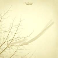 Sven Weisemann - Falling Leaves : 12inch