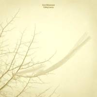 Sven Weisemann - Falling Leaves