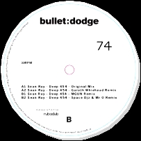 Sean Ray - Deep 454 : 12inch