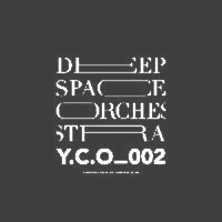 Deep Space Orchestra - Hipster Massacre/Smoking Bunt : 12inch
