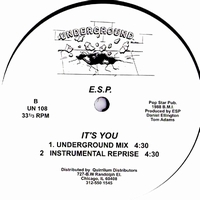 E.S.P. - It'S You : 12inch