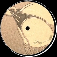 V.A. - Say U Will : 12inch