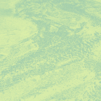 Brett Naucke - Seed : LP