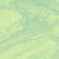 Brett Naucke - Seed : LP