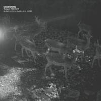 Cassegrain - Tiamat Remixes