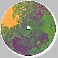 Simple Symmetry - Apes In The Orange Groove : 12inch