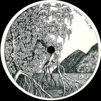 Dresvn - Acido 14 : 12inch