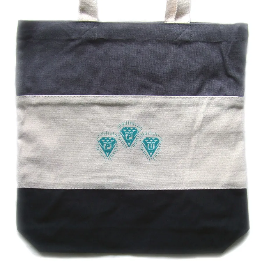 - - PPU RECORD BAG - TEAL : BAG