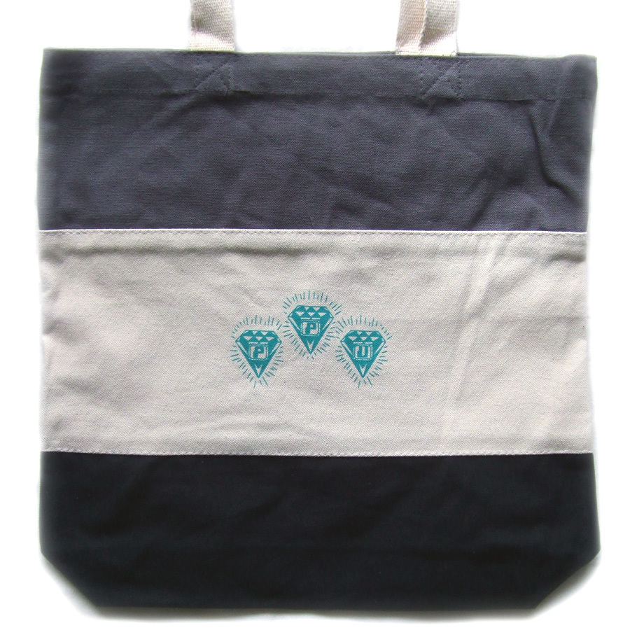 - - PPU RECORD BAG - TEAL