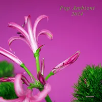 Various - Pop Ambient 2014 : LP+CD