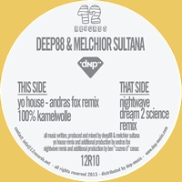 Deep88 & Melchior Sultana - Nightwave / Yo House (DREAM 2 SCIENCE / ANDRAS FOX Remix) : 12inch