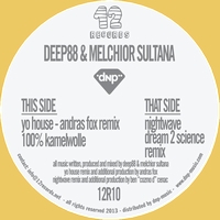Deep88 & Melchior Sultana - Nightwave / Yo House (DREAM 2 SCIENCE / ANDRAS FOX Remix)