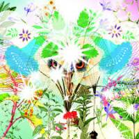 Ooioo - Gamel