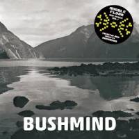 Bushmind - 2013 DTW MIX : CD-R