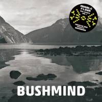 Bushmind - 2013 DTW MIX