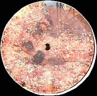 Phil Gerus - Opposites Left Together EP : 10inch