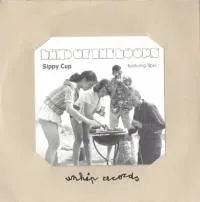 Land Of The Loops / Buckminster Fuzeboard - Sippy Cup : CD SIngle