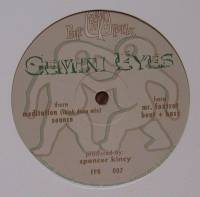 Gemini Eyes - Mr Foxtrot : 12inch