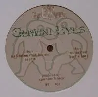 Gemini Eyes - Mr Foxtrot : 12inch