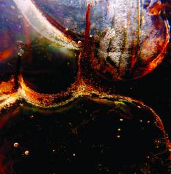 Cedric Stevens - Hanging In The Wires : LP