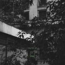 Ptaki - Kalina EP : 12inch