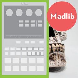 Madlib - The Beats: Our Vinyl Weighs A Ton OST
