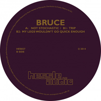 Bruce - Not Stochastic : 12inch