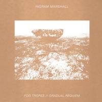 Ingram Marshall - Fog Tropes / Gradual Requiem : LP