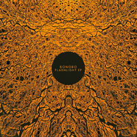 Bonobo - Flashlight EP