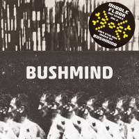 Bushmind - 2014 DTW MIX