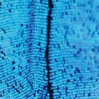 2562 - The New Today : 2LP