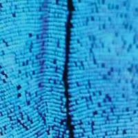 2562 - The New Today : 2LP