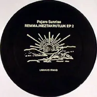 Pajaro Sunrise - Remmajneztakrutluk EP 2 : 12inch