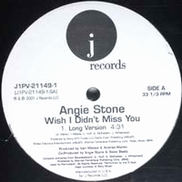 Angie Stone - Wish I Didn't Miss You : 12inch