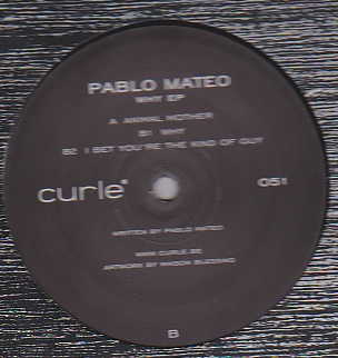 Pablo Mateo - WHY EP : 12inch